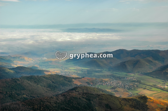 Plaine d'Alsace vue depuis les Vosges - vue aérienne - gryphea.com